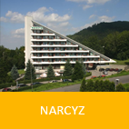 narcyz-3004282